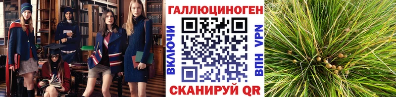 мориарти Telegram Льгов Псилоцибиновые грибы GOLDEN TEACHER как найти закладки